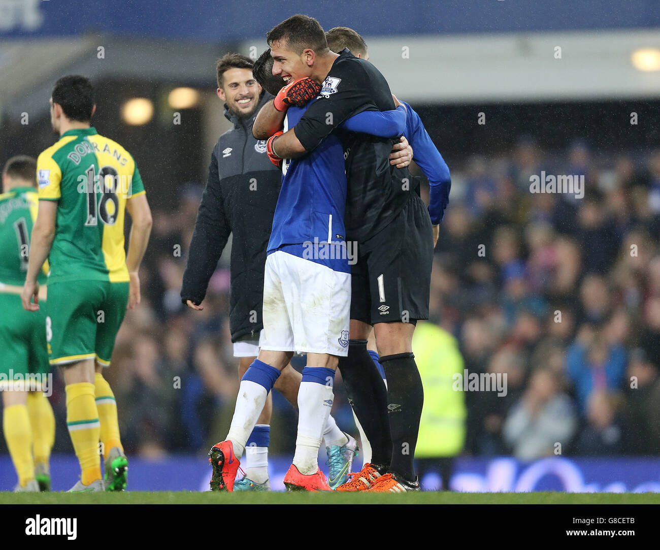 Calcio - Capital One Cup - quarto round - Everton v Norwich City - Goodison Park Foto Stock