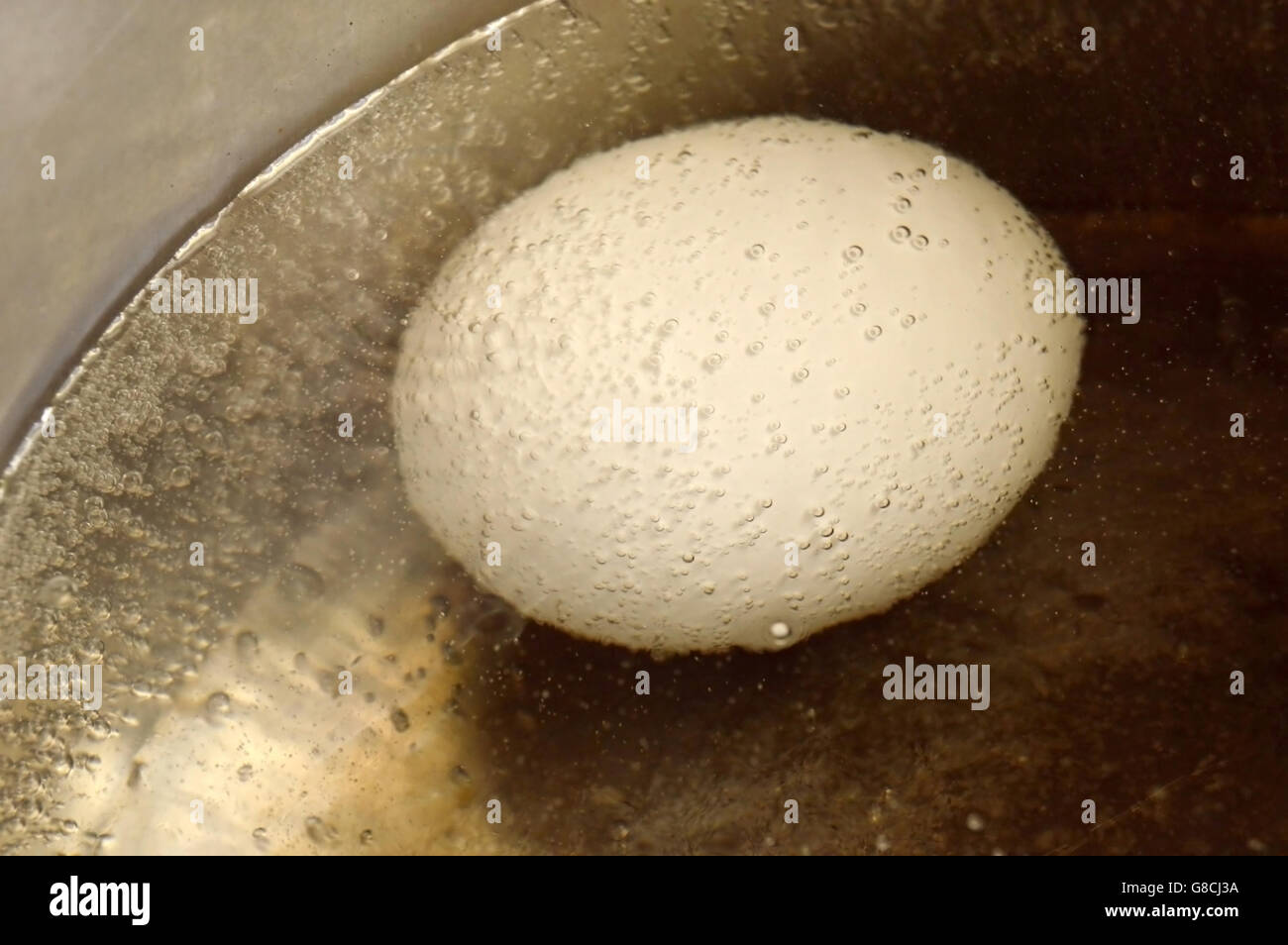 Uovo di pollo bollitura in acqua in una pentola di metallo Foto Stock