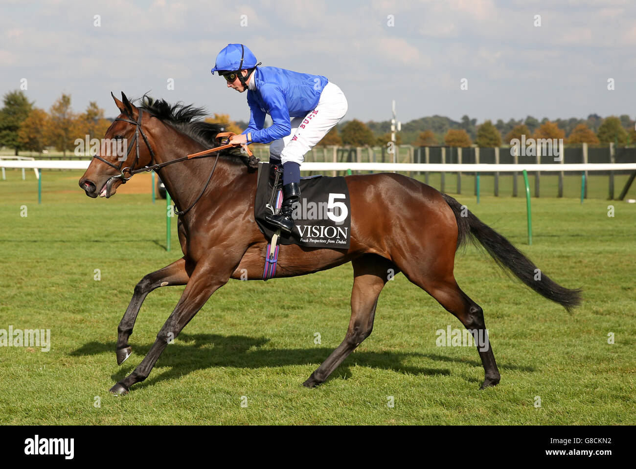 La prima vittoria guidata da William Buick va a postare durante il giorno uno del Dubai Future Champions Festival al Newmarket Racecourse. PREMERE ASSOCIAZIONE foto. Data immagine: Venerdì 9 ottobre 2015. Guarda la storia di PA SU Newmarket. Il credito fotografico dovrebbe essere: Simon Cooper/PA Wire Foto Stock