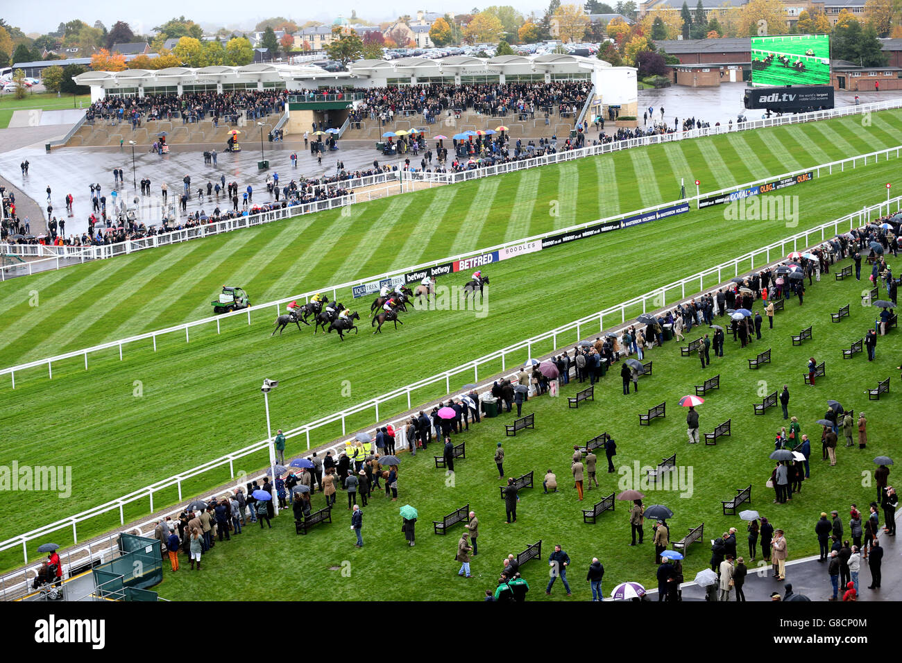 Corse ippiche - la vetrina - Day Two - Ippodromo di Cheltenham. Racegoers guarda l'azione all'ippodromo di Cheltenham Foto Stock