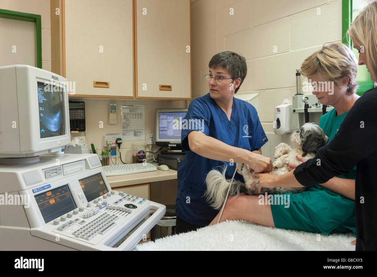 Veterinario e infermiere di scansione di un cane. Foto Stock