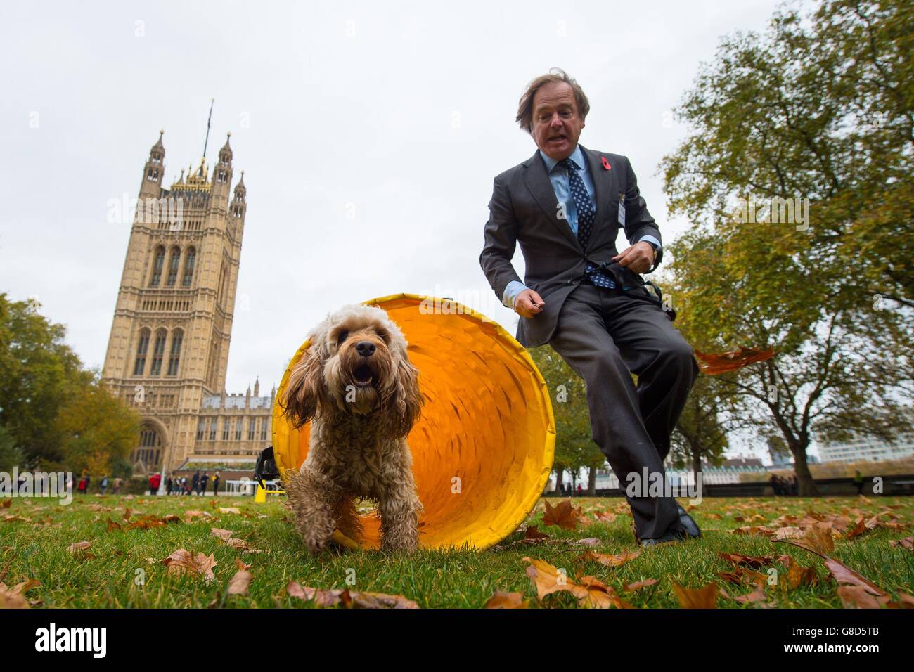 Hugo Swire MP con Cockapoo Rocco allo spettacolo del Westminster Dog of the Year 2015, presso i Victoria Tower Gardens, Westminster, Londra. Foto Stock