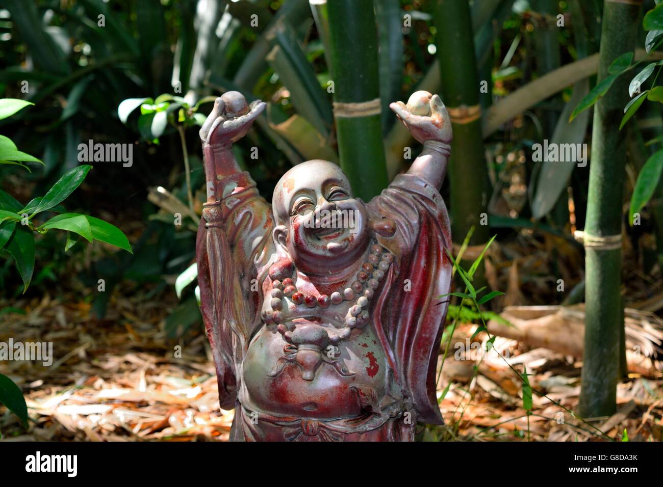 Happy Buddha nella Asian Garden a Costa Natura Giardino Botanico in Spring Hill, Florida Foto Stock