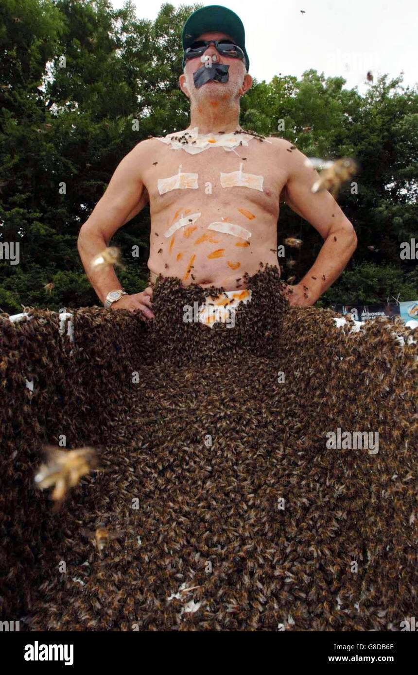 Tentativo di record mondiale - Barba di Bee - Cahir Foto Stock