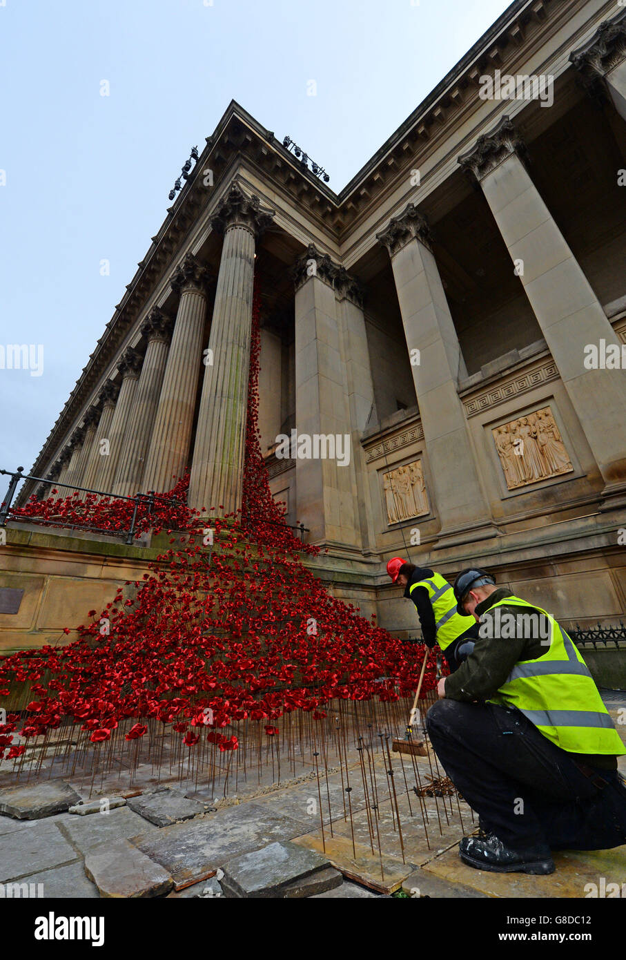 I lavoratori aggiungono il tocco finale ai papaveri in ceramica della finestra piangente, parte delle opere d'arte Blood Swept Lands e Seas of Red, che sono state mostrate alla Torre di Londra lo scorso autunno, mentre li installano alla St George's Hall, Liverpool, Mentre la nazione si prepara a ricordare i suoi uomini e donne caduti servizio con Remembrance Services che si terrà in tutto il Regno Unito nei prossimi giorni. Foto Stock