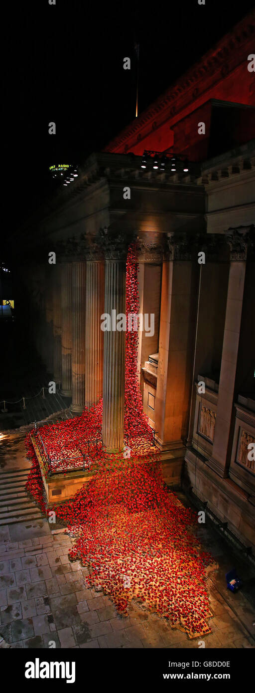 Papaveri in ceramica della finestra piangente, parte delle terre spazzate dal sangue e dei mari di opere d'arte rosse, che è stato mostrato alla Torre di Londra lo scorso autunno, installato a St George's Hall, Liverpool, Mentre la nazione si prepara a ricordare i suoi uomini e donne caduti servizio con Remembrance Services che si terrà in tutto il Regno Unito nei prossimi giorni. Foto Stock