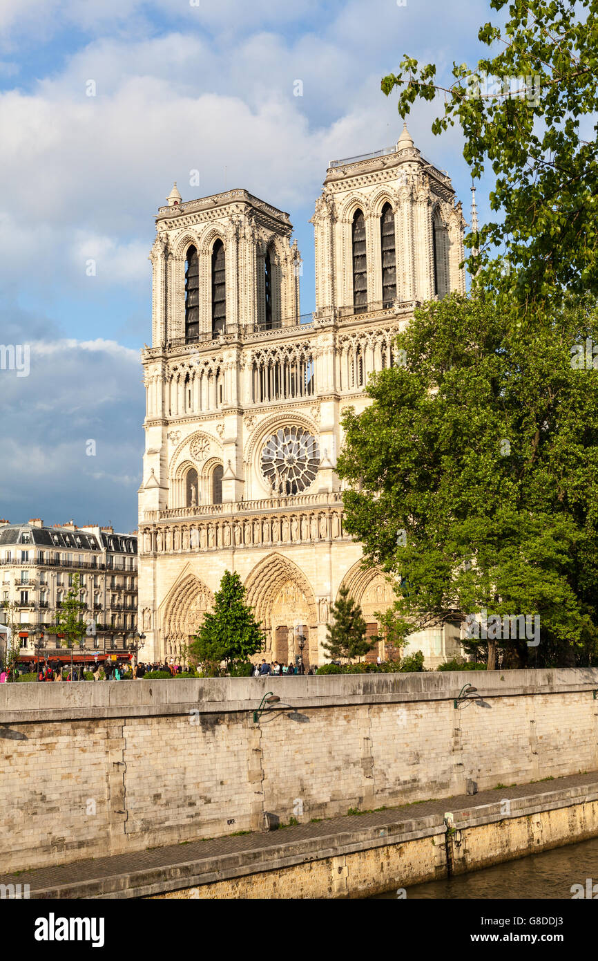 La cattedrale di Notre Dame, Paris, Francia Foto Stock