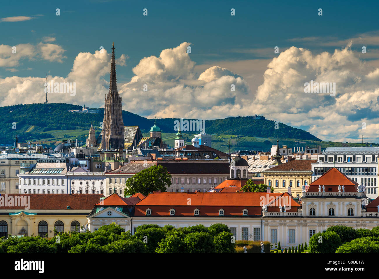 Skyline della città con la cattedrale di Santo Stefano , Vienna, Austria Foto Stock