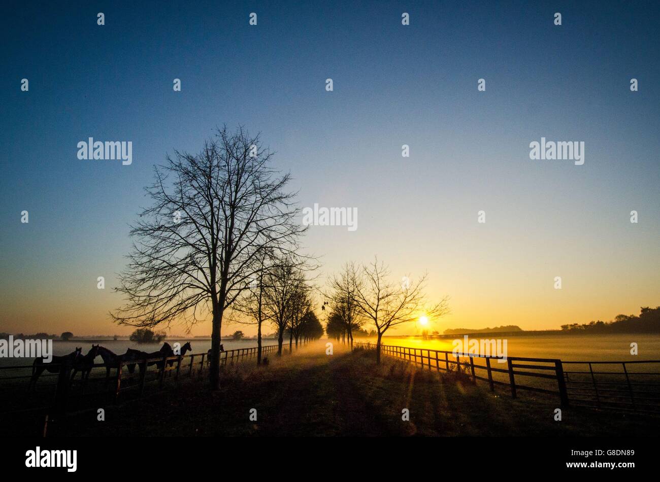 Inverno Meteo 1 Novembre 2015 Foto Stock