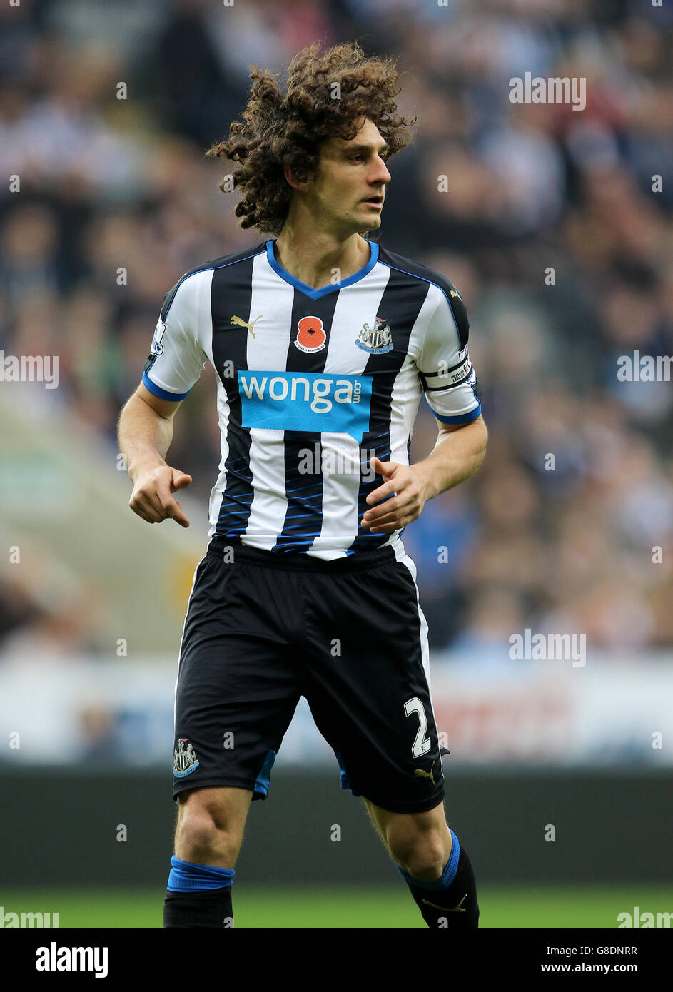 Calcio - Barclays Premier League - Newcastle United / Stoke City - St James' Park. Fabricio Coloccini di Newcastle United Foto Stock
