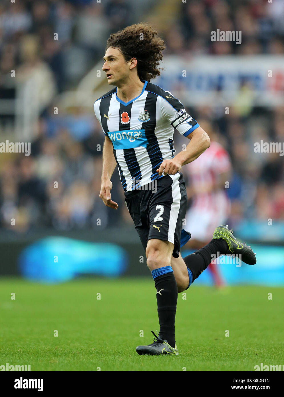 Calcio - Barclays Premier League - Newcastle United / Stoke City - St James' Park. Fabricio Coloccini di Newcastle United Foto Stock