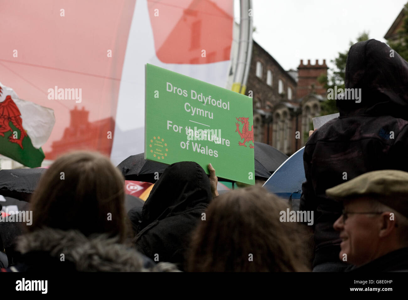 Cardiff, Regno Unito. Il 28 giugno, 2014. Cardiff come una città si riunisce per celebrare l'Europa dopo gli episodi di razzismo a seguito del referendum UE e brexit. Altoparlanti inclusi Plaid Cymru leader Leanne legno. Credito: Amonochromedream.com/Alamy Live News Foto Stock