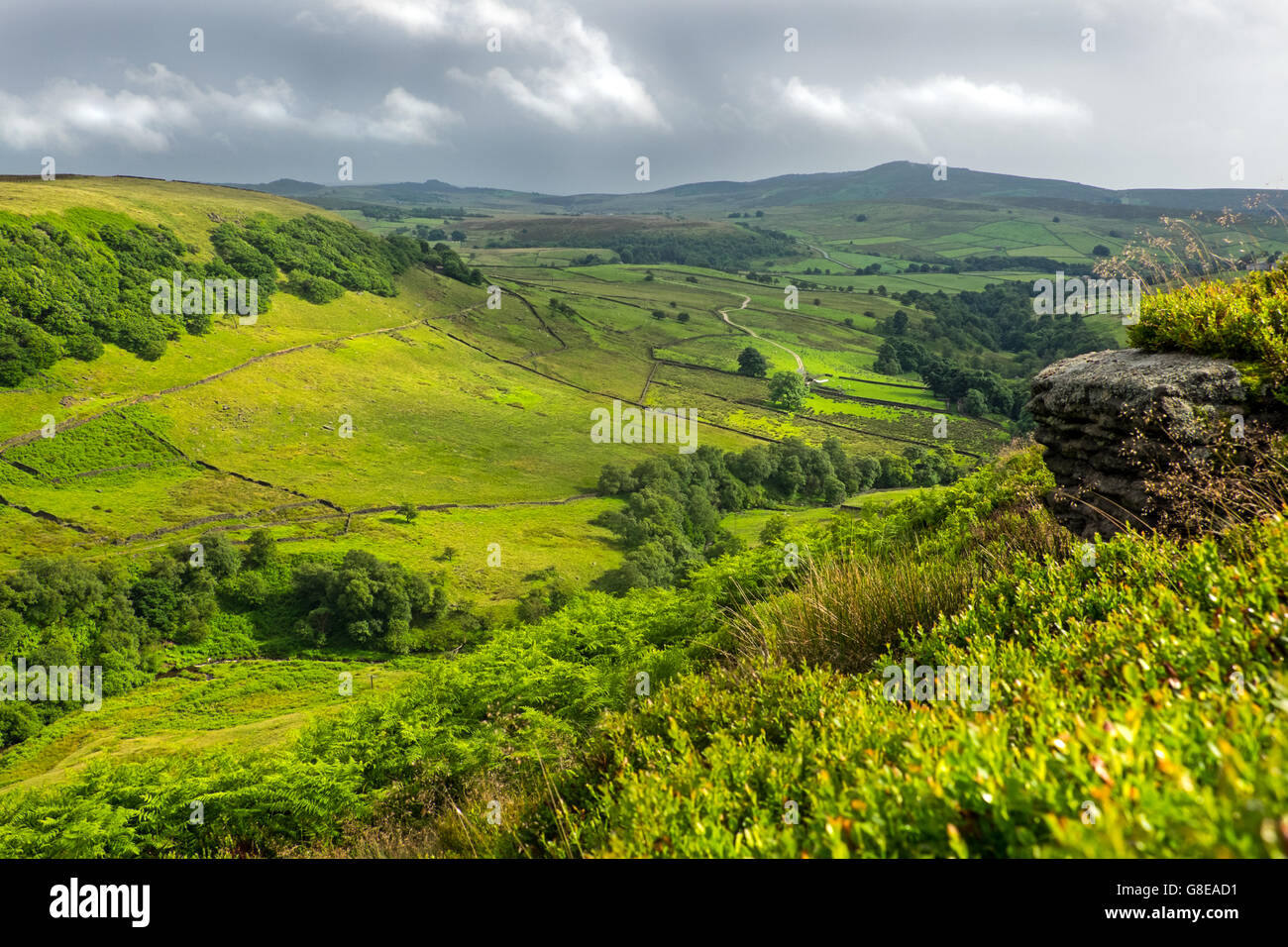 Staffordshire Moorlands area del Parco Nazionale di Peak District. Vista da tre Shire capi verso il roaches Foto Stock