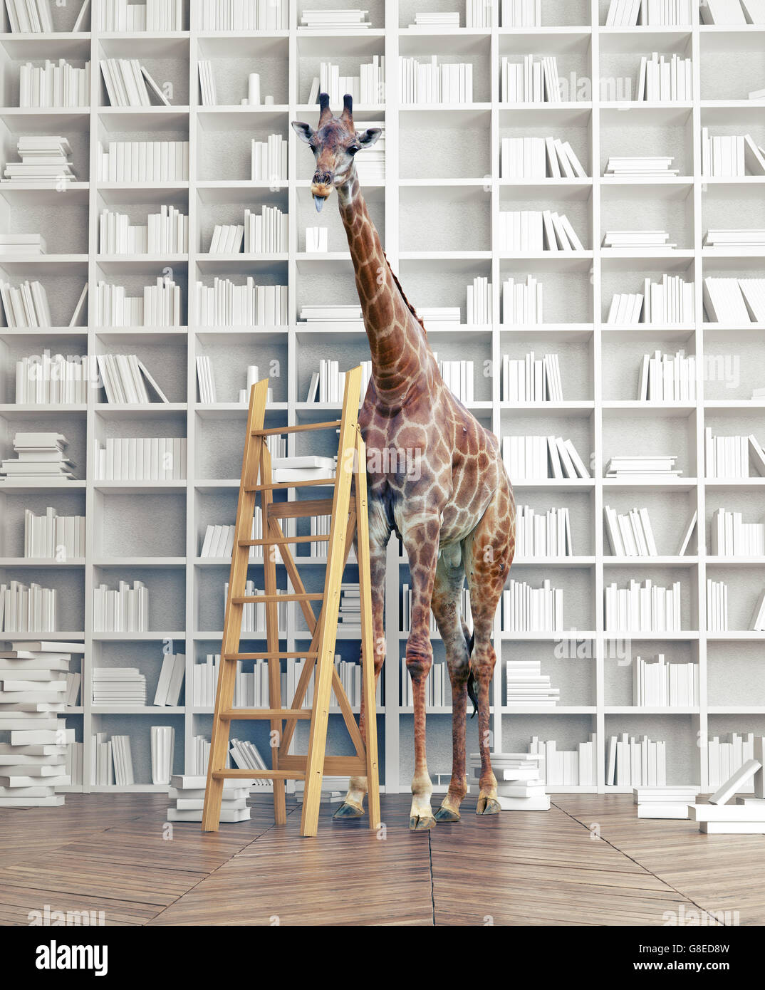 La giraffa in camera con libro scaffali. Fotografia creativa combinazione di concetto Foto Stock