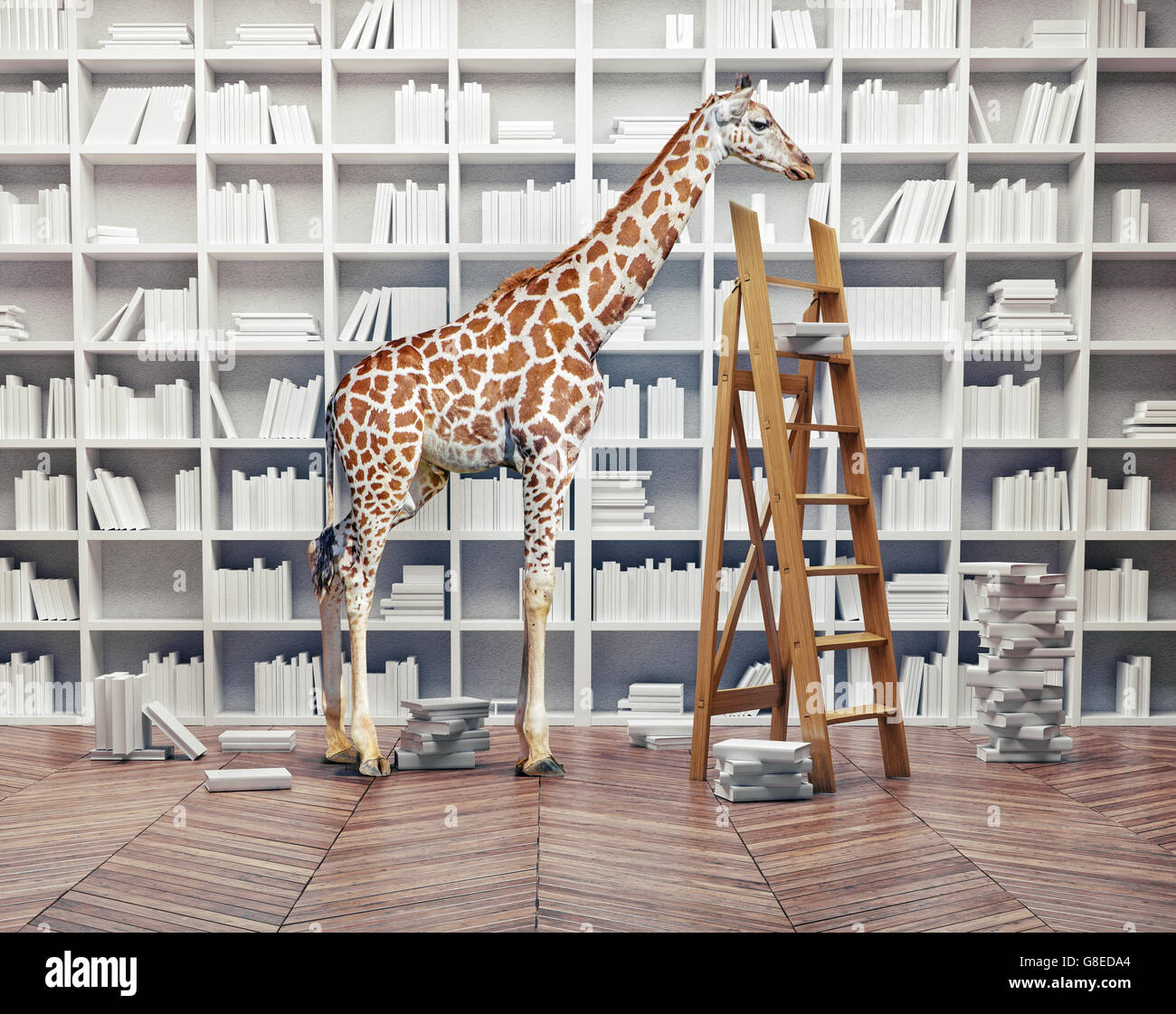 Una giraffa baby in camera con libro scaffali. Concetto creativo Foto Stock