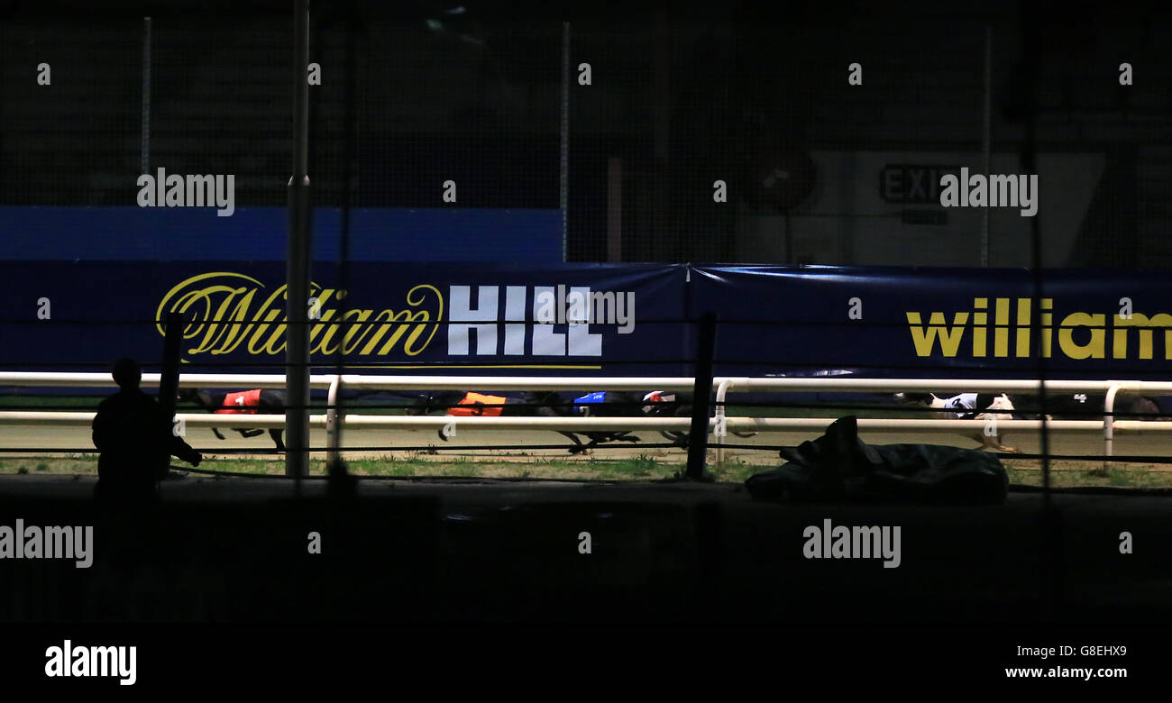 Greyhound Racing - William Hill St Leger - Stadio Wimbledon Greyhound. Una vista generale delle corse Greyhound e della segnaletica di marca William Hill al Wimbledon Greyhound Stadium. Foto Stock