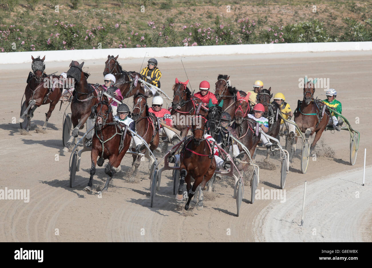 Piloti competere durante un cavallo elettrico carri gara in Palma de Mallorca ippodromo. Foto Stock