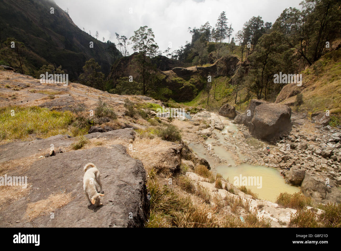 Hot Springs al Mount Rinjani Vulcano, Lombok, Indonesia Foto Stock