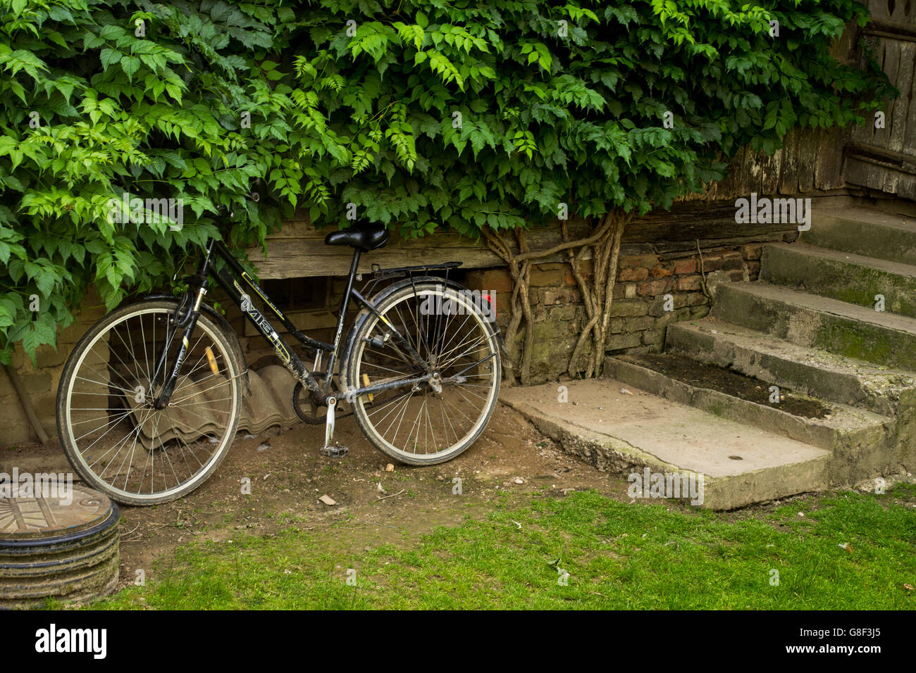 Una macchina è parcheggiata vicino ad una fattoria in Lonjsko polje nature park, Croazia Foto Stock