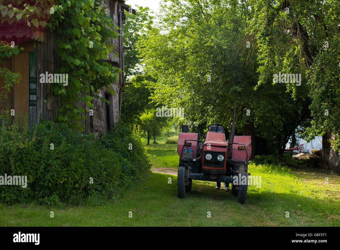 Un vecchio trattore parcheggiato vicino ad una fattoria, Lonjsko polje nature park, Croazia Foto Stock