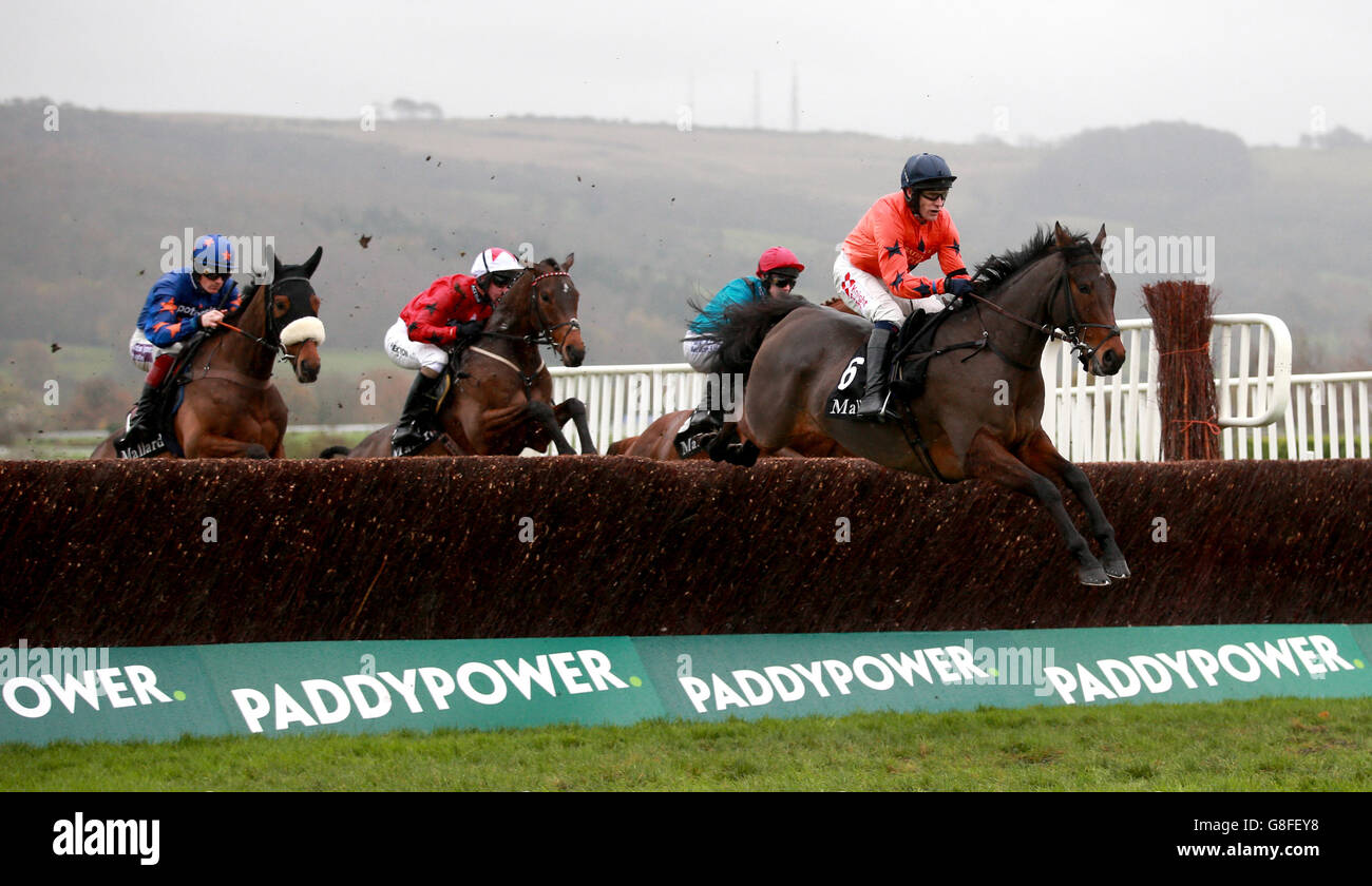 Un Temps pour Tout (a destra) guidato da Tom Scudamore salta la recinzione durante il mallardjewelers.com Novices' Chase, durante il secondo giorno dell'Open presso l'ippodromo di Cheltenham, Cheltenham. PREMERE ASSOCIAZIONE foto. Data immagine: Sabato 14 novembre 2015. Scopri PA Story RACING Cheltenham. Il credito fotografico dovrebbe essere: David Davies/PA Wire. Foto Stock