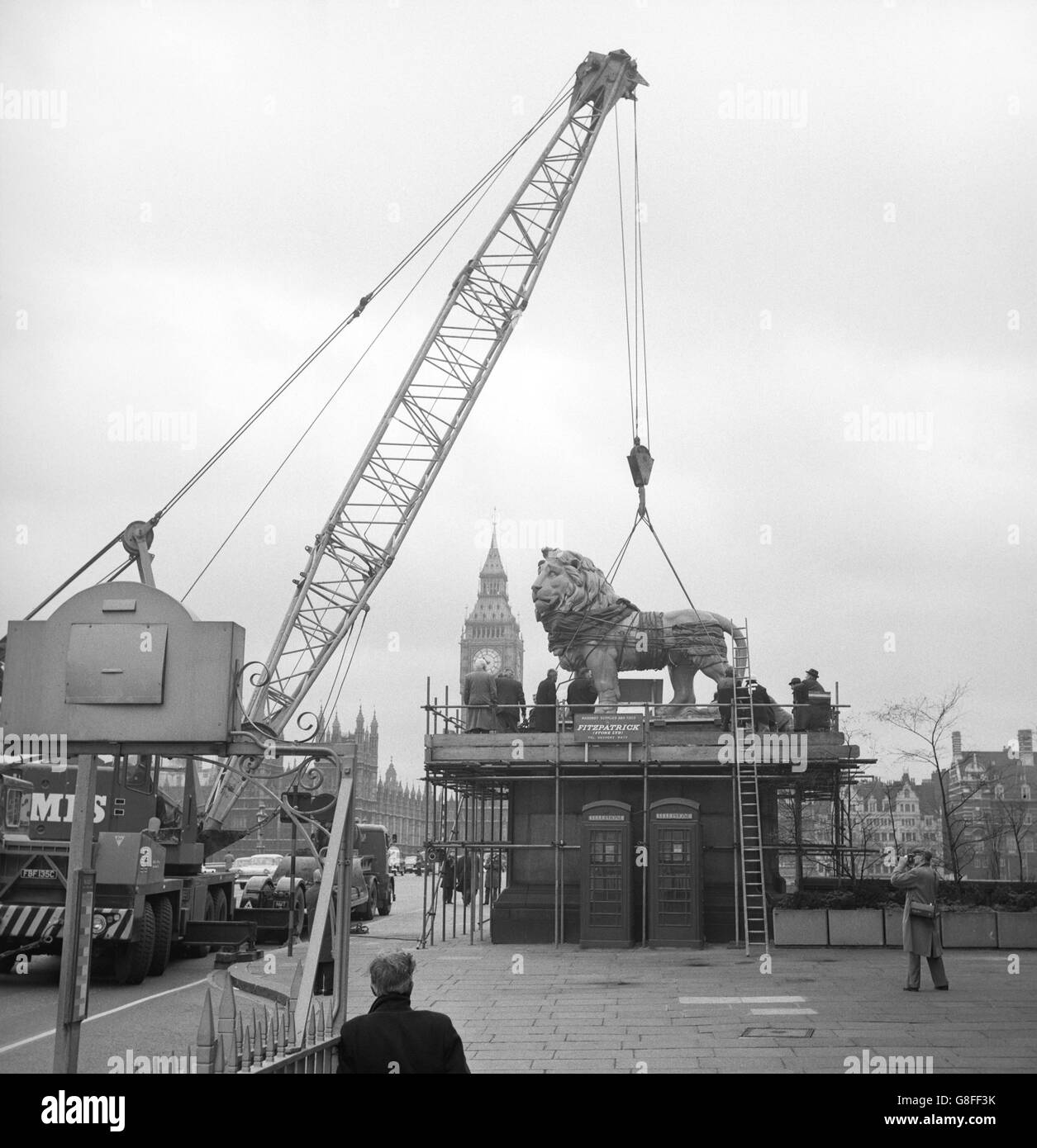 Il leone di pietra di coade dalla stazione di Waterloo è issato nella sua nuova posizione all'estremità sud del ponte di Westminster vicino al County Hall, Londra. Il leone, del peso di 13 tonnellate, è il più grande di due che in precedenza ornava la vecchia birreria Lion sulla South Bank. Nel 1951, è stato spostato all'ingresso della stazione di Waterloo per il Festival della Gran Bretagna. Foto Stock