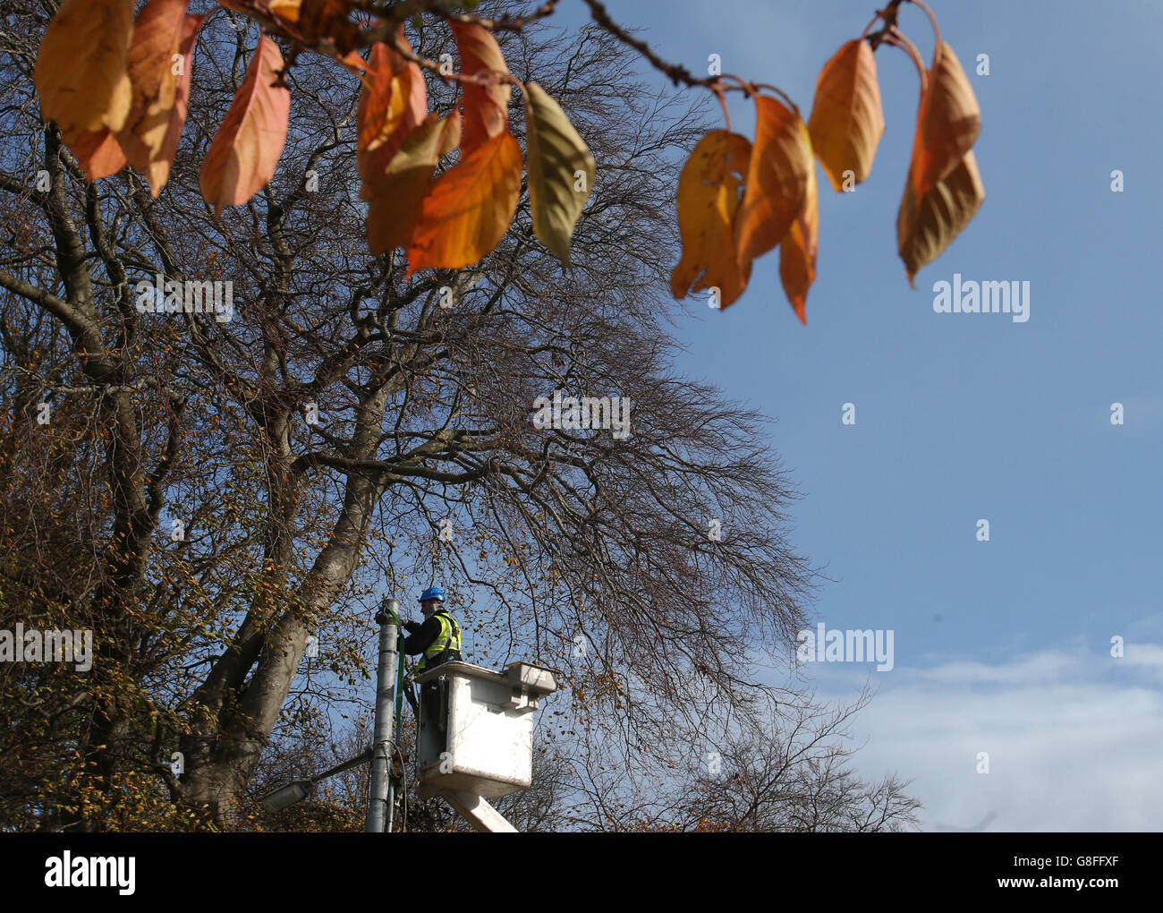 Il personale dell'ESB lavora per riparare le linee elettriche danneggiate dopo che un grande albero è stato abbattuto sulla Military Road a Ballybrack, Dublino, poiché migliaia di case e aziende rimangono senza potere dopo che i venti della tempesta hanno colpito la metà meridionale del paese. Foto Stock