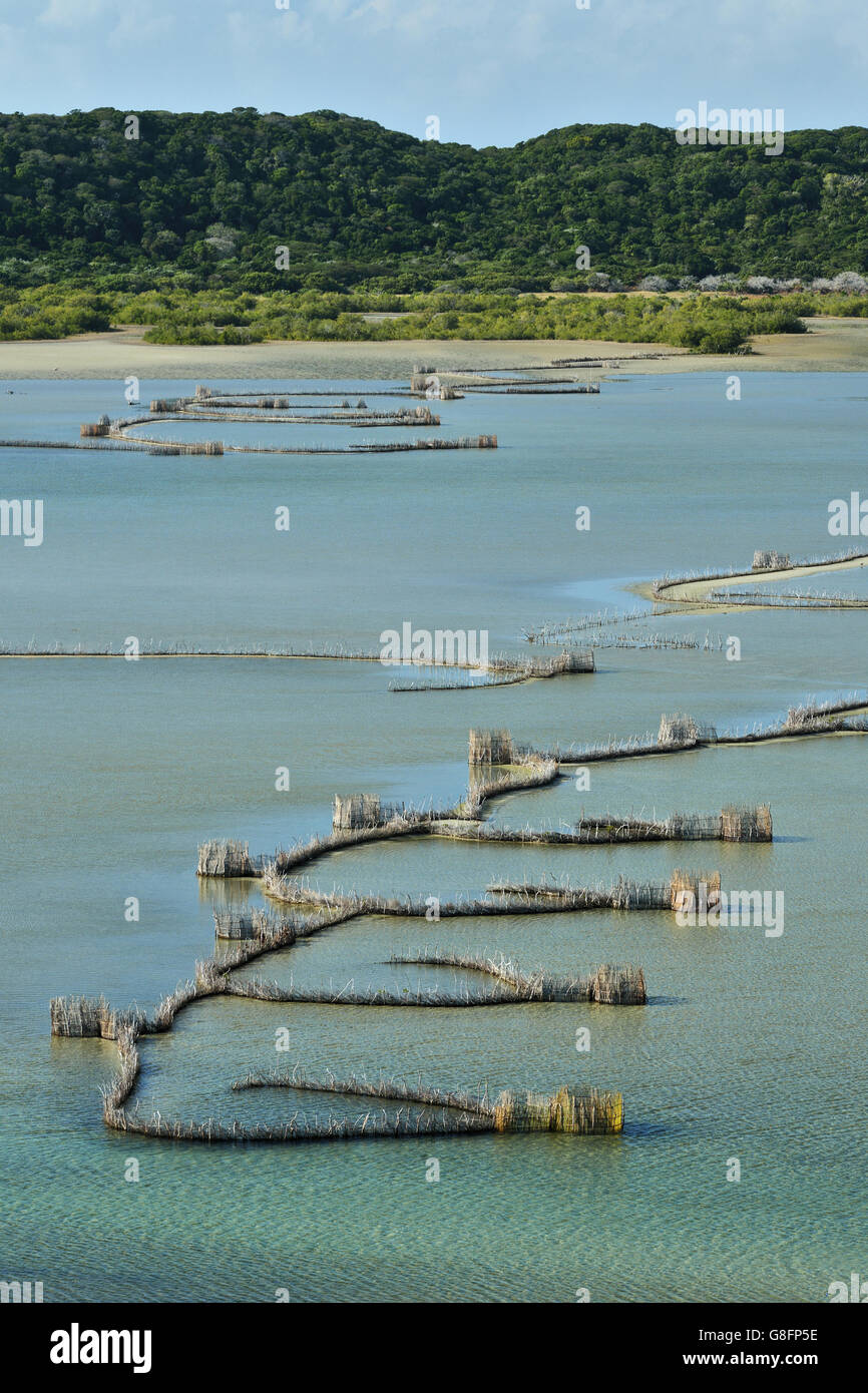 Fishtrap, Kosi bay, KwaZulu Natal, Sud Africa. Foto Stock