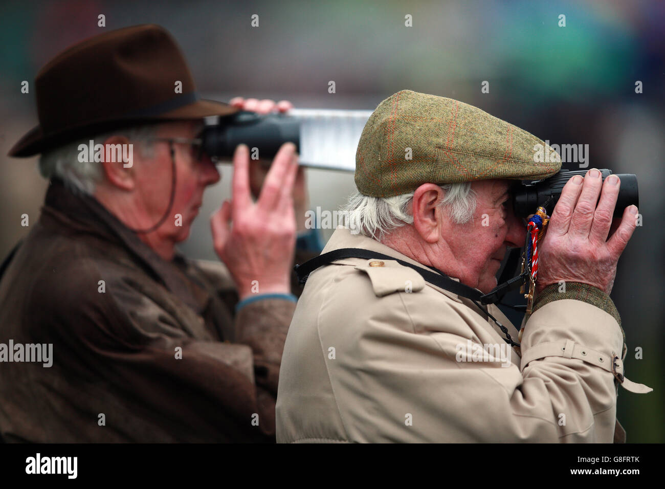 Racegoers durante il giorno due dell'Open a Cheltenham racecourse, Cheltenham. PREMERE ASSOCIAZIONE foto. Data foto: Sabato 14 novembre 2015. Vedi PA Story RACING Cheltenham. Il credito fotografico deve essere: David Davies/PA Wire. Foto Stock