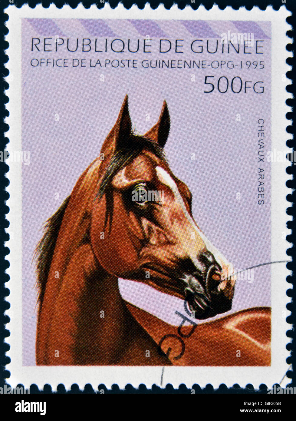 Repubblica di Guinea - circa 1995: un timbro stampato nella Repubblica di Guinea mostra Arabian Horse, circa 1995 Foto Stock