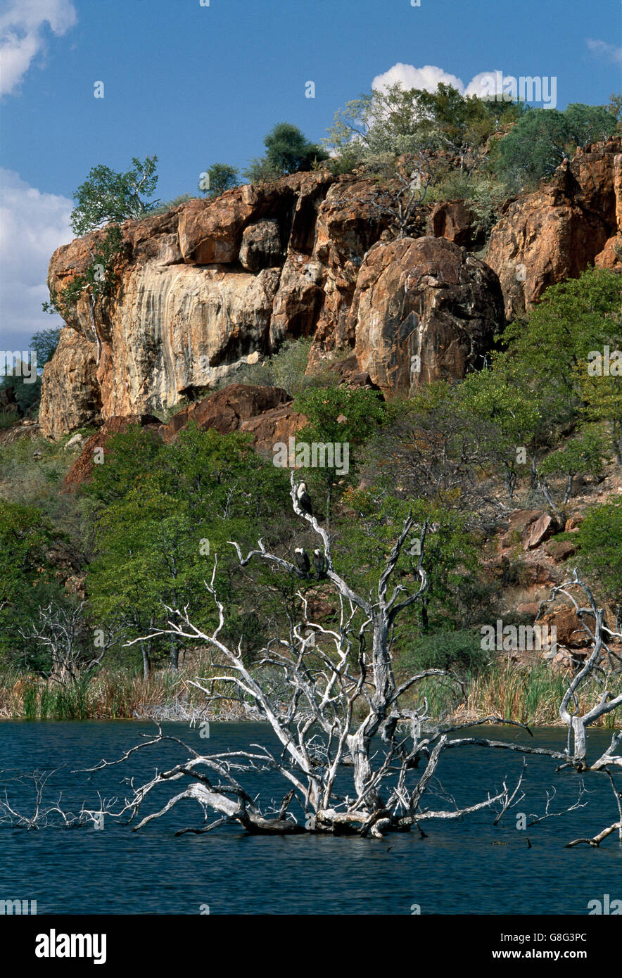 Diga, regno di Mapungubwe, Limpopo, Sud Africa. Foto Stock