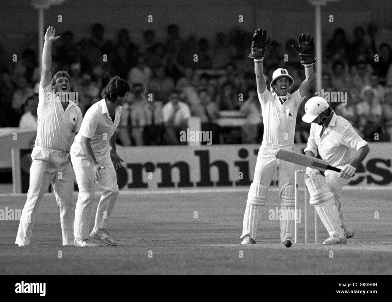 Gli inglesi Ian Botham, (a sinistra), Allan Lamb e il guardiano Bob Taylor celebrano la caduta di un altro wicket neozelandese mentre Warren Lees esce da lbw a Nick Cook per una corsa al Trent Bridge. Foto Stock