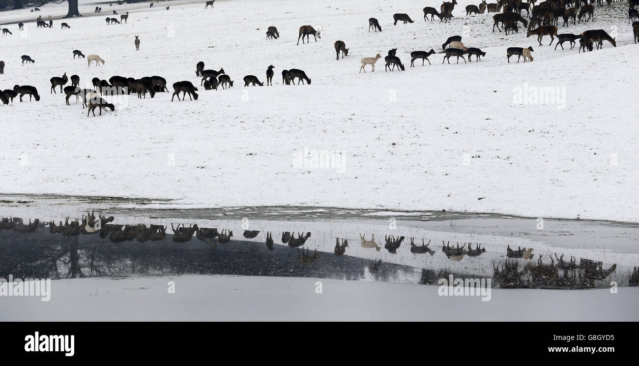 Inverno Meteo Dec xiii 2015 Foto Stock