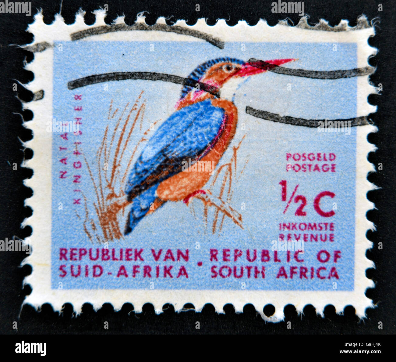Repubblica del Sud Africa - circa 1973: un timbro stampato in RSA mostra natal kingfisher, circa 1973 Foto Stock