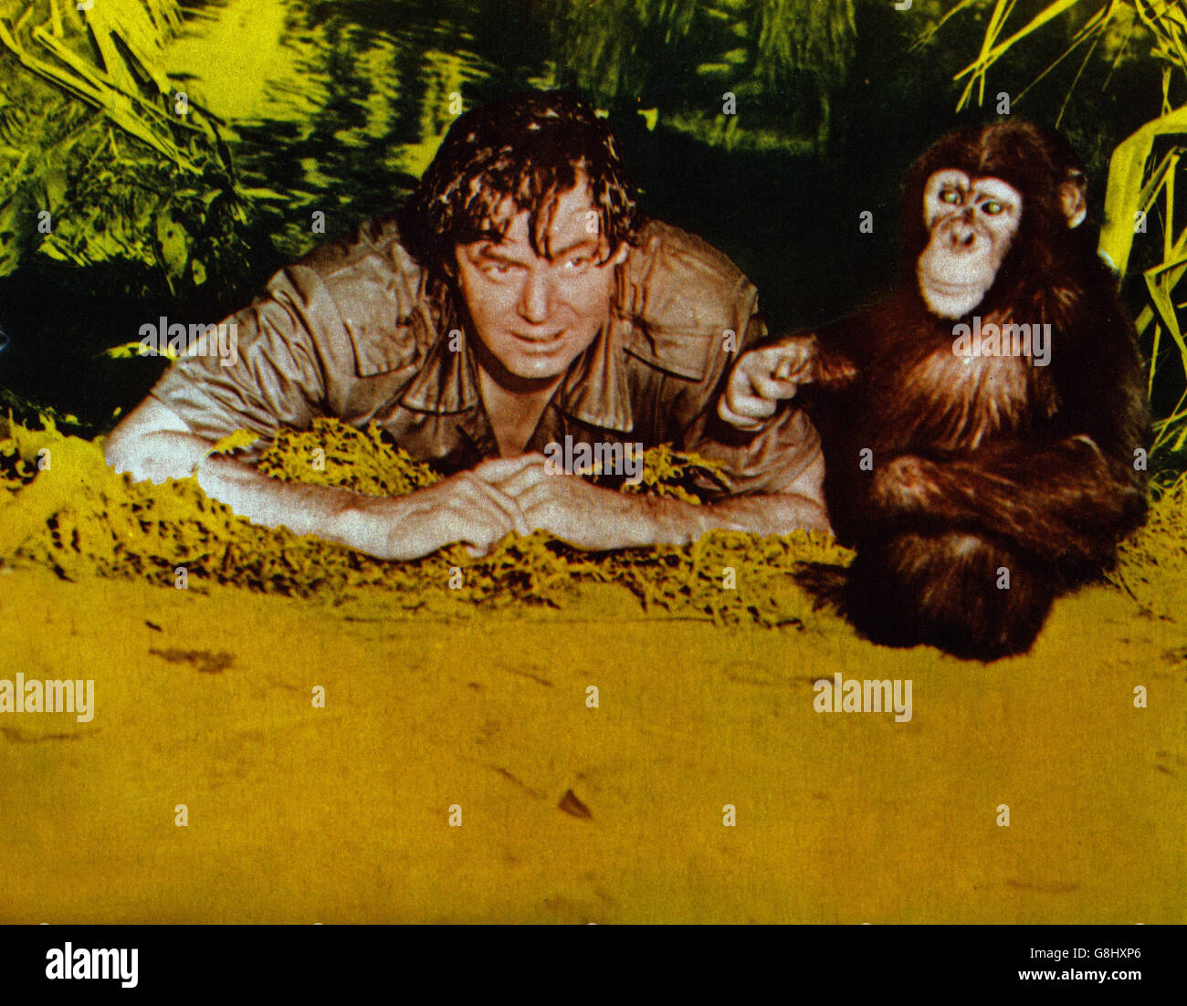 Cannibal attacco, USA 1954, Regie: Lee Sholem, Darsteller: Johnny Weissmuller mit Schimpanse Kimba Foto Stock