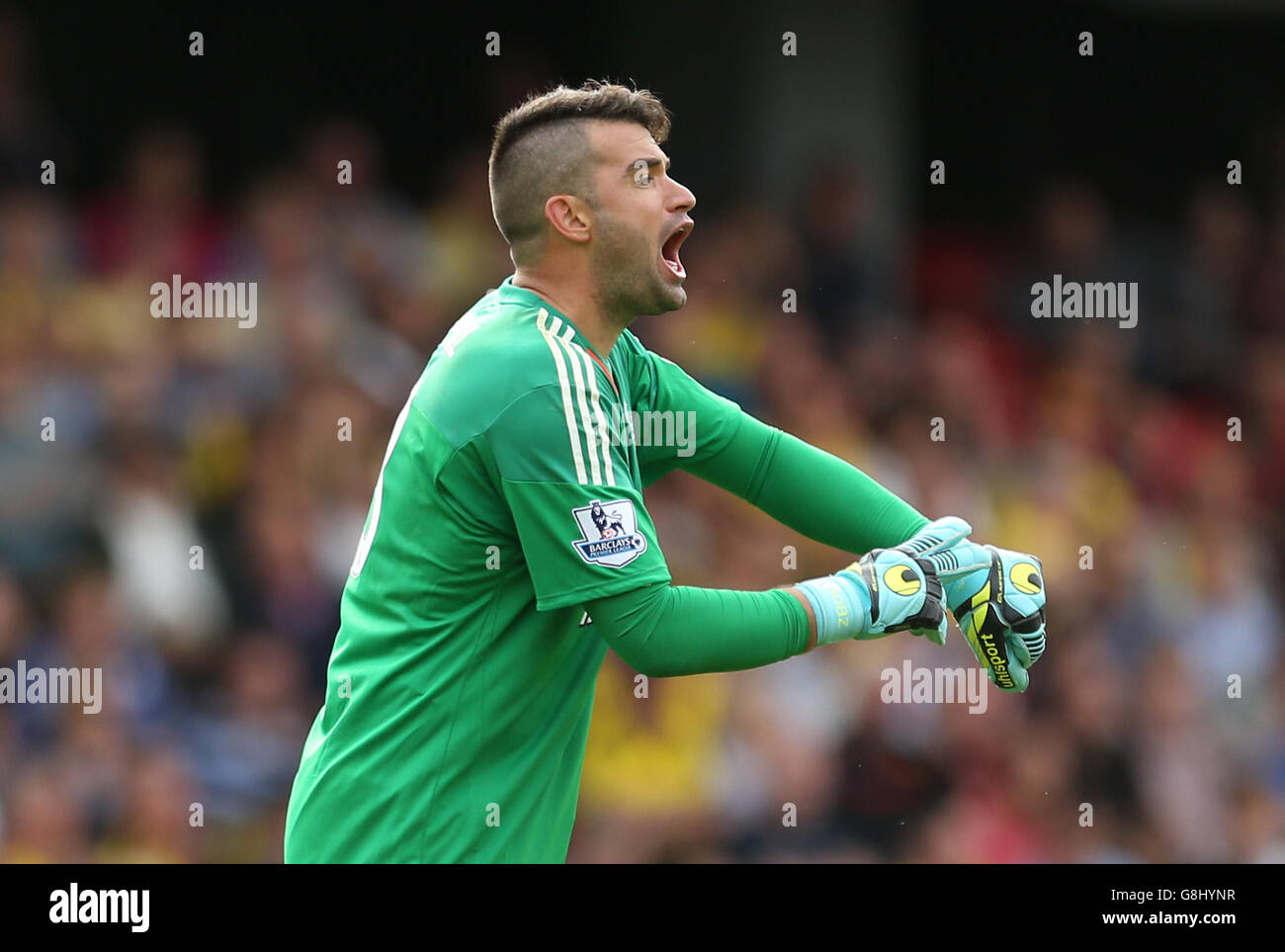 Calcio - Barclays Premier League - Watford v West Bromwich Albion - Vicarage Road. West Bromwich Albion portiere Boaz Myhill Foto Stock