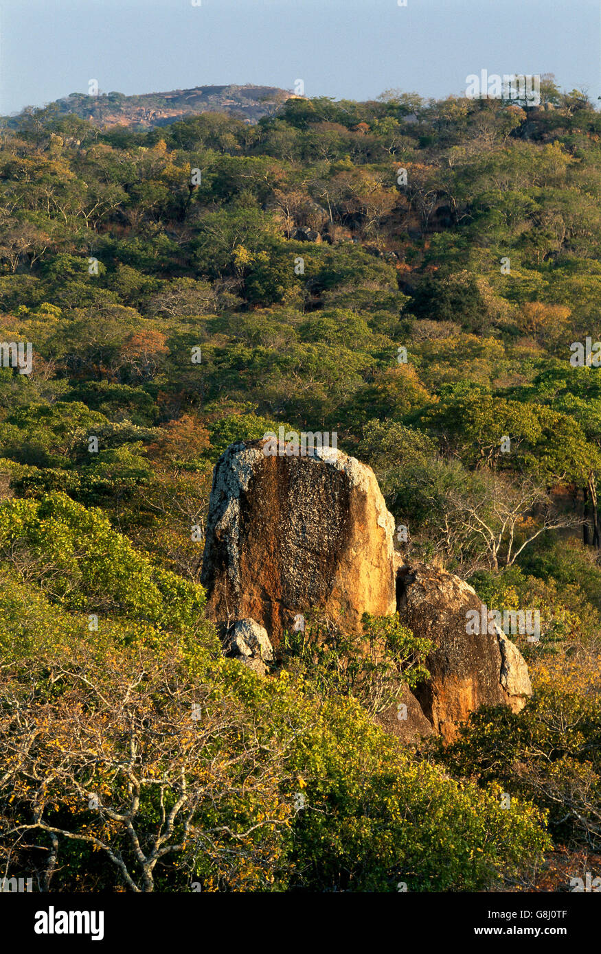 Boulder nel Parco Nazionale di Kafue, Kafue, provincia di Lusaka; Zambia. Foto Stock