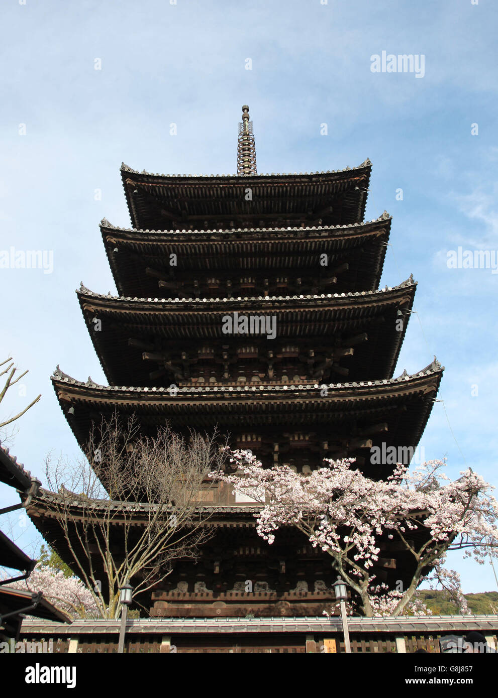 Si tratta di una foto del Tempio Toji a Kyoto in Giappone durante la stagione primaverile. Possiamo vedere sakuka cherry alberi in fiore Foto Stock