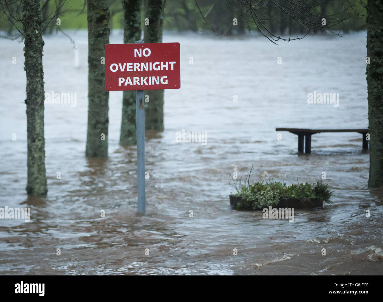 Inondazioni a Straiton, in Scozia, quando Storm Frank inizia a battere il Regno Unito sulla strada verso le aree colpite dalle inondazioni. Foto Stock