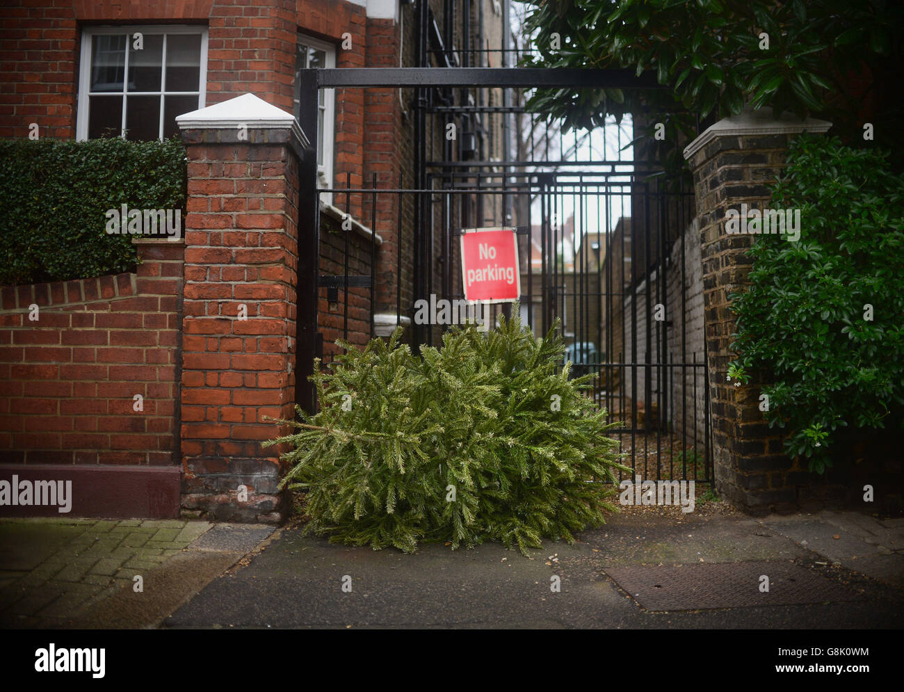 Un albero di Natale scartato è visto a sinistra sulle strade di Battersea, Londra. Foto Stock