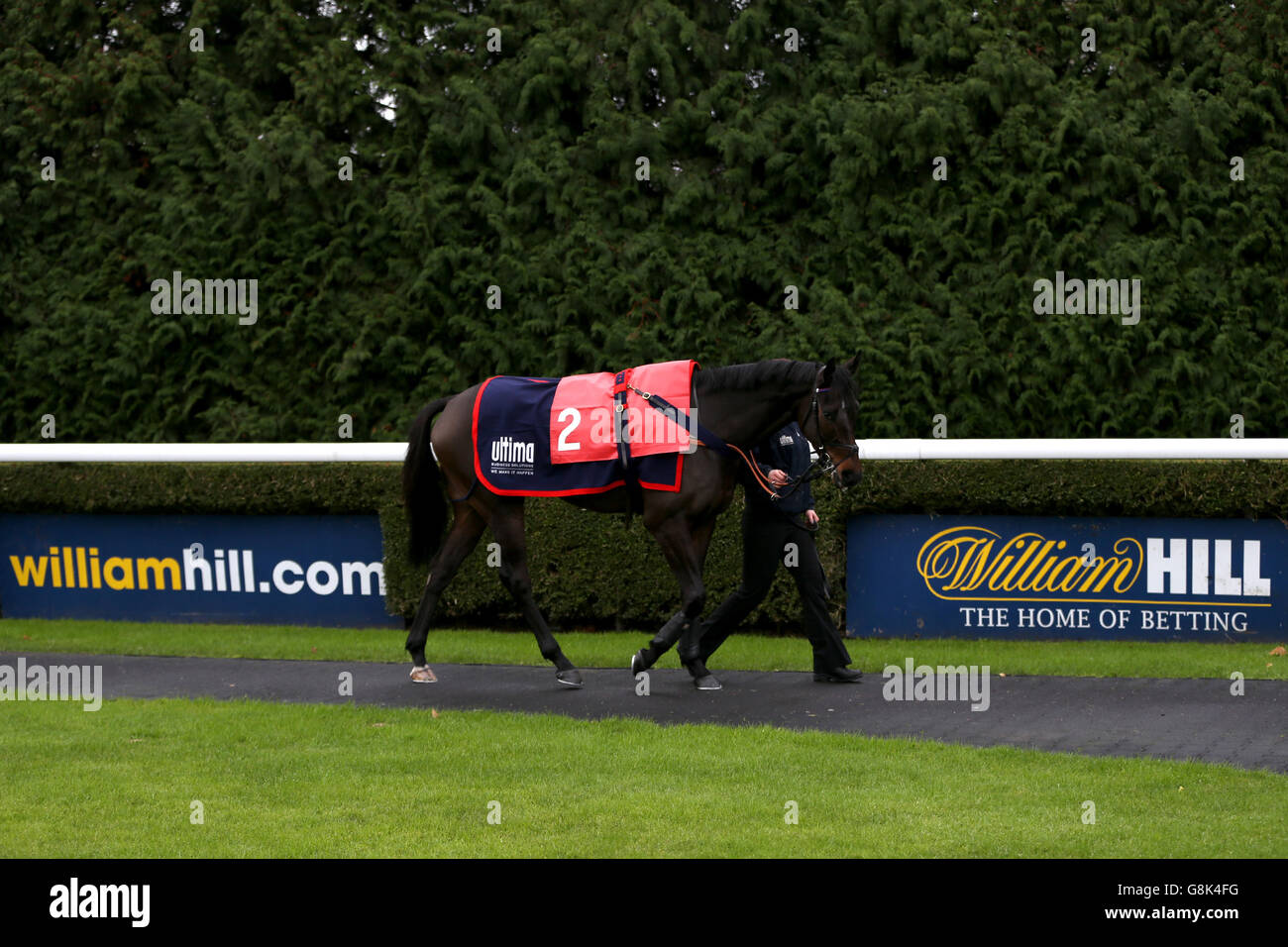 Kempton Park Gare - William Hill Lanzarote giorno Foto Stock