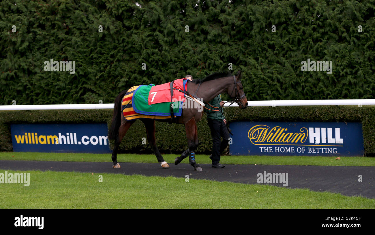 Kempton Park Gare - William Hill Lanzarote giorno Foto Stock