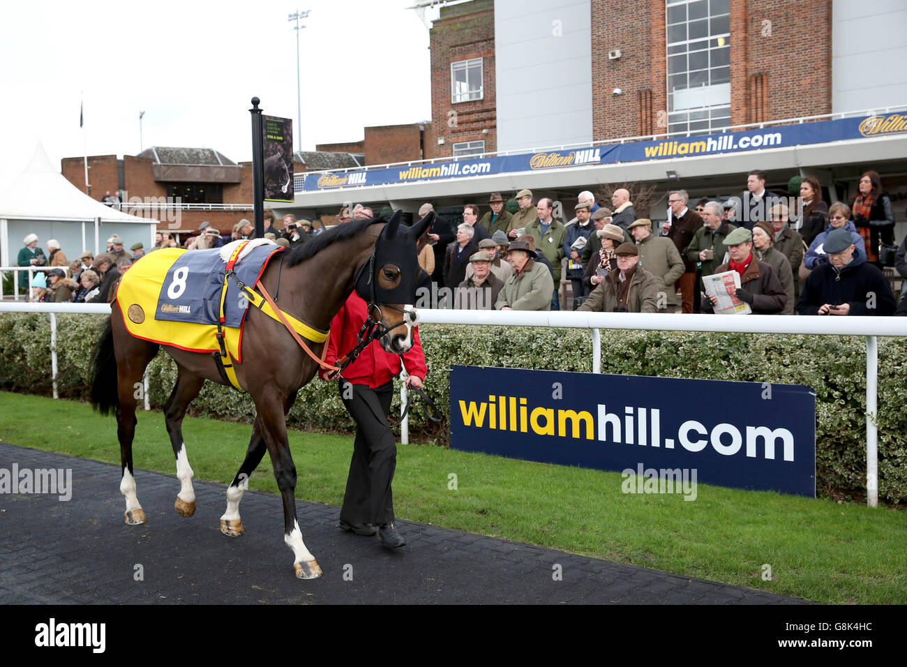 Corse al parco di Kempton - William Hill Lanzarote Day. L'ibis Du Rheu è in parata per la folla prima dell'ostacolo di William Hill Lanzarote Foto Stock