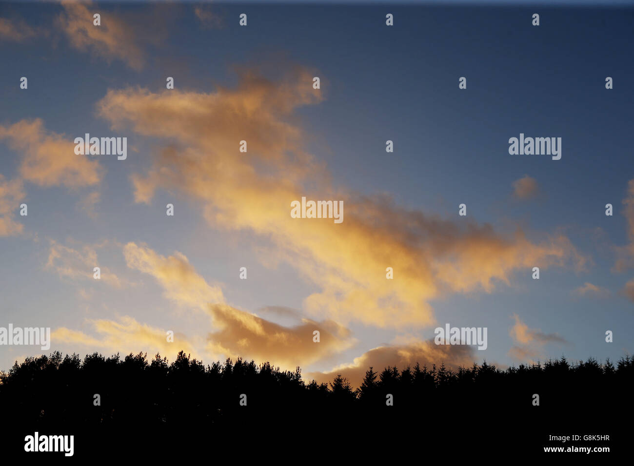 Il sole tramonta su Fendoch in Scozia mentre il clima più freddo e il cielo notturno più limpido si tengono in zone del Regno Unito con previsioni del gelo e della neve. Foto Stock