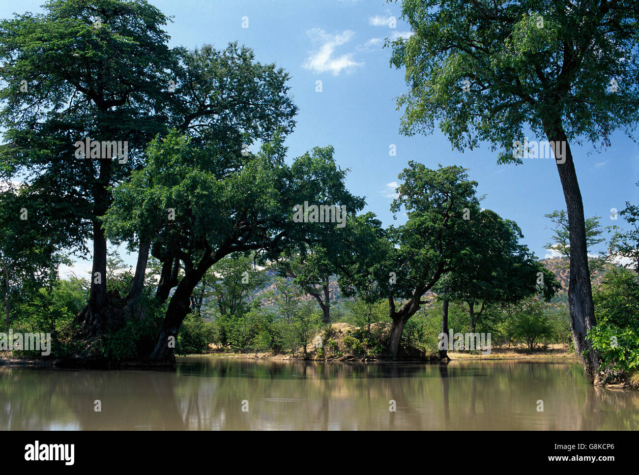 Coppa naturale, Matusadona National Park, Zimbabwe. Foto Stock