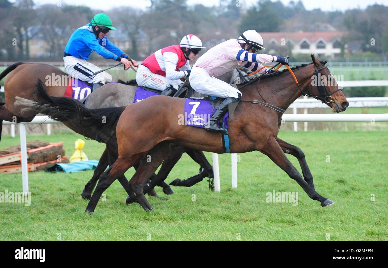 6-2-16 LEOPARDSTOWN CHI È CHE e Sean McDermott saltare gli ultimi a vincere la Stallion irlandese fattorie EBF Mares Handicap Hurdle. HEALY RACING FOTO Foto Stock