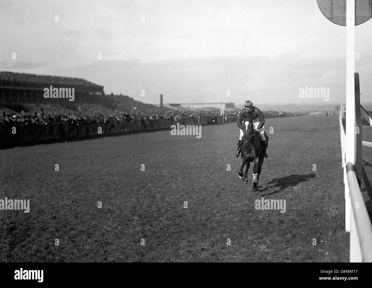 Sir Malcolm McAlpine's 'Shaun Spadah' guidato da Fred Rees Wining the Grand National. Questo era l'unico cavallo a levarsi in piedi durante tutta la corsa. Anche altri tre corridori su 35 hanno finito il corso dopo essere stati rimontati. Foto Stock