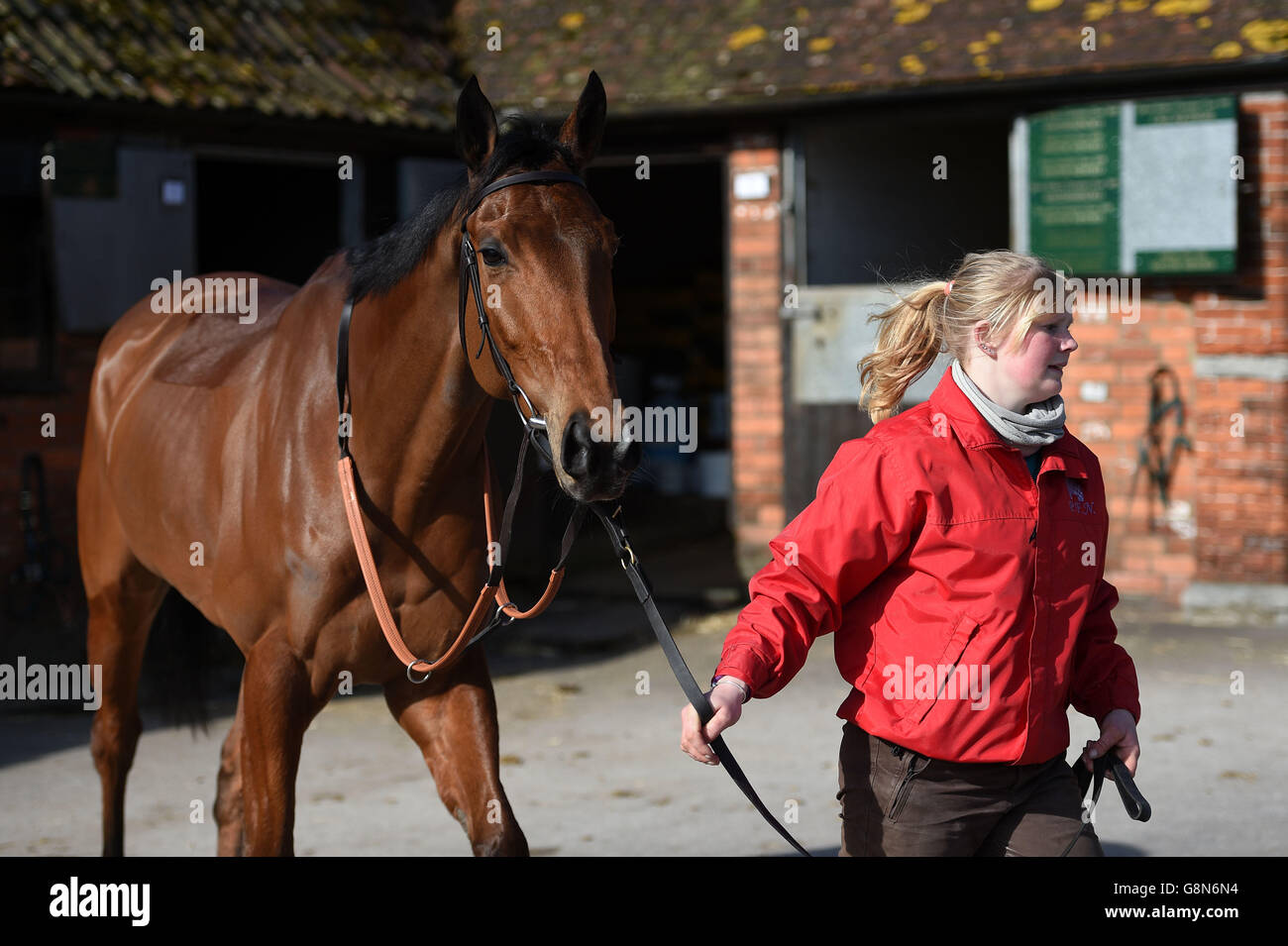 La vecchia guardia è sfilata durante una visita stabile alle scuderie di Paul Nicholls presso le Manor Farm Stables, Ditcheat. Foto Stock