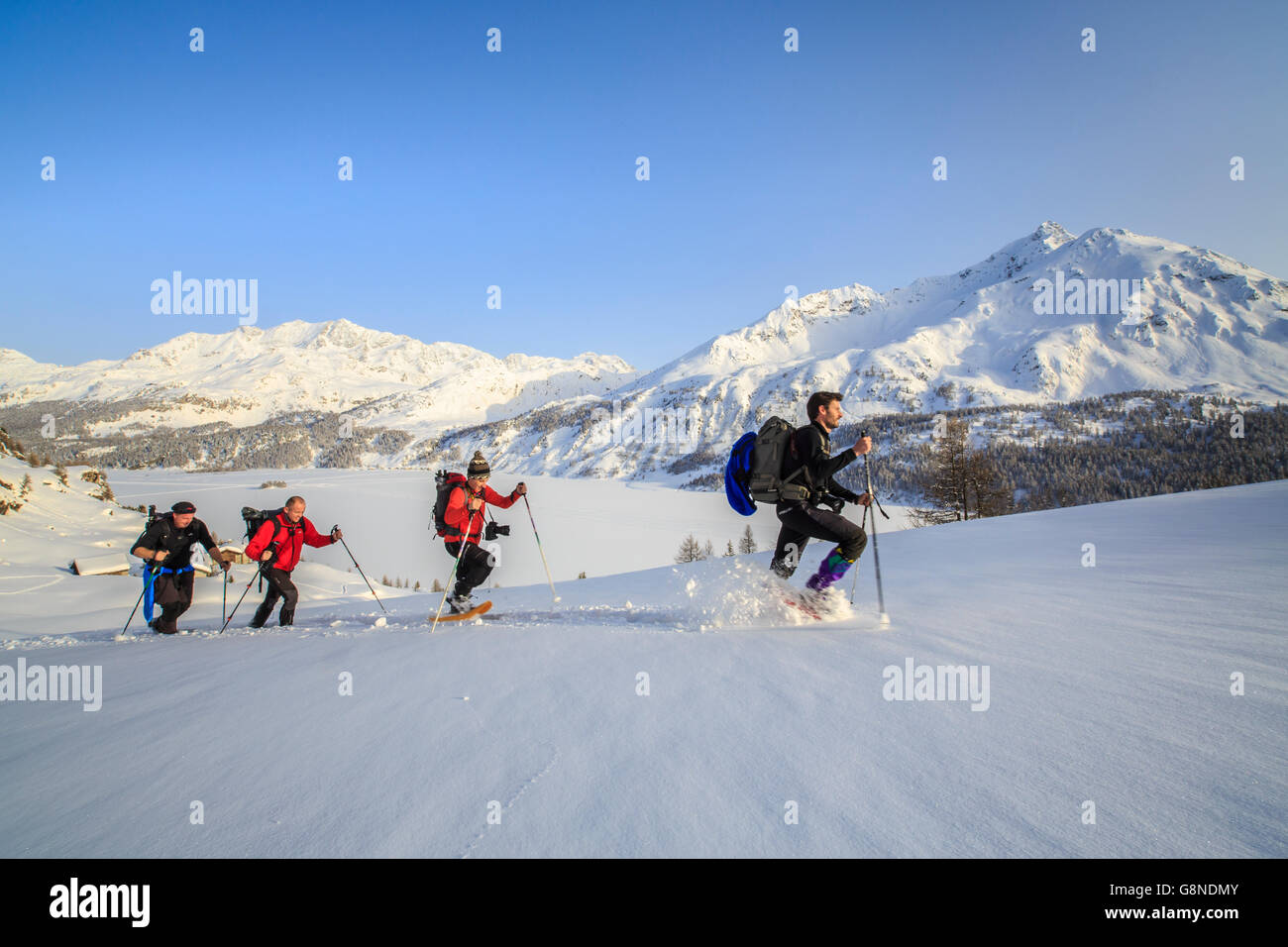 Gli escursionisti con racchette da neve ad esplorare il paesaggio invernale Sci di fondo Maloja Engadin Cantone dei Grigioni Svizzera Europa Foto Stock