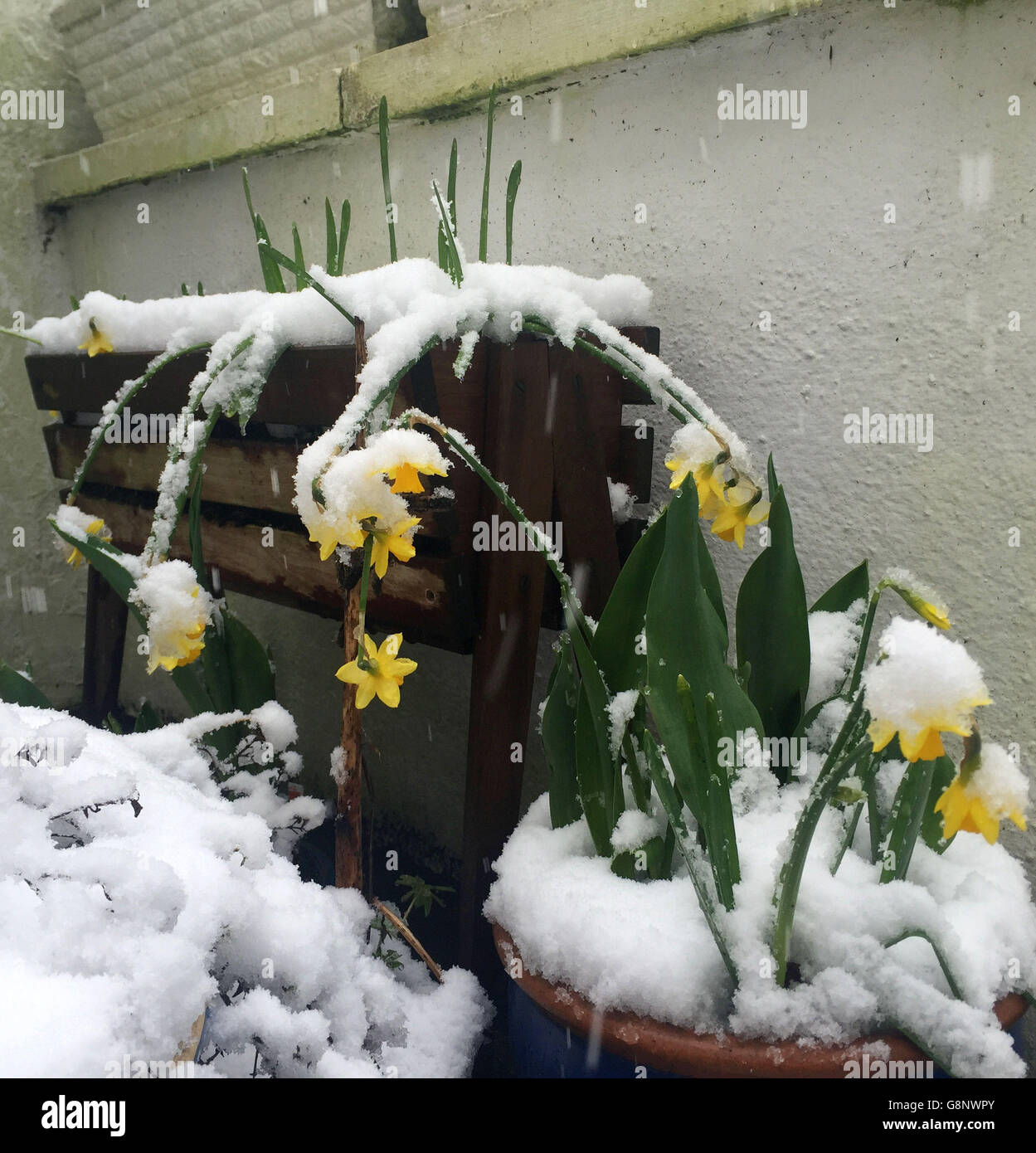 Primavera Meteo Mar 4° 2016 Foto Stock